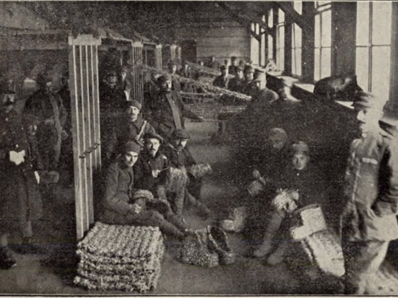 Le scritture dei prigionieri italiani nella Grande Guerra&nbsp;(I)